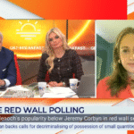 NIGEL FARAGE ‘BELIEVES IN THE BIG STATE’ CLAIMS SHADOW MINISTER HELEN WHATELY