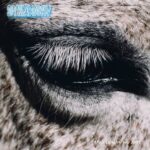 Smag På Dig Selv release highly anticipated second album “This Is Why We Lost”.